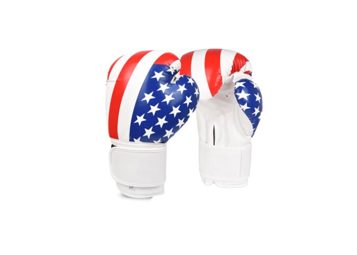 Boxing Gloves – Patriotic PU Gloves